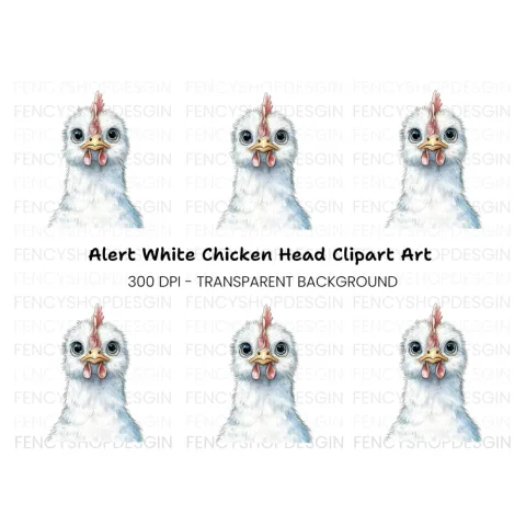 Cute White Chicken Head Clipart Bundle