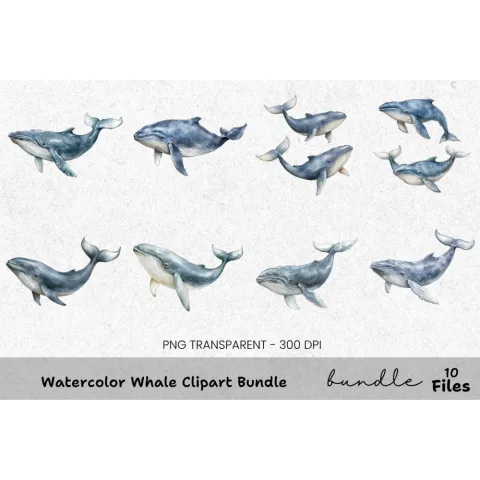 Whale Clipart Bundle