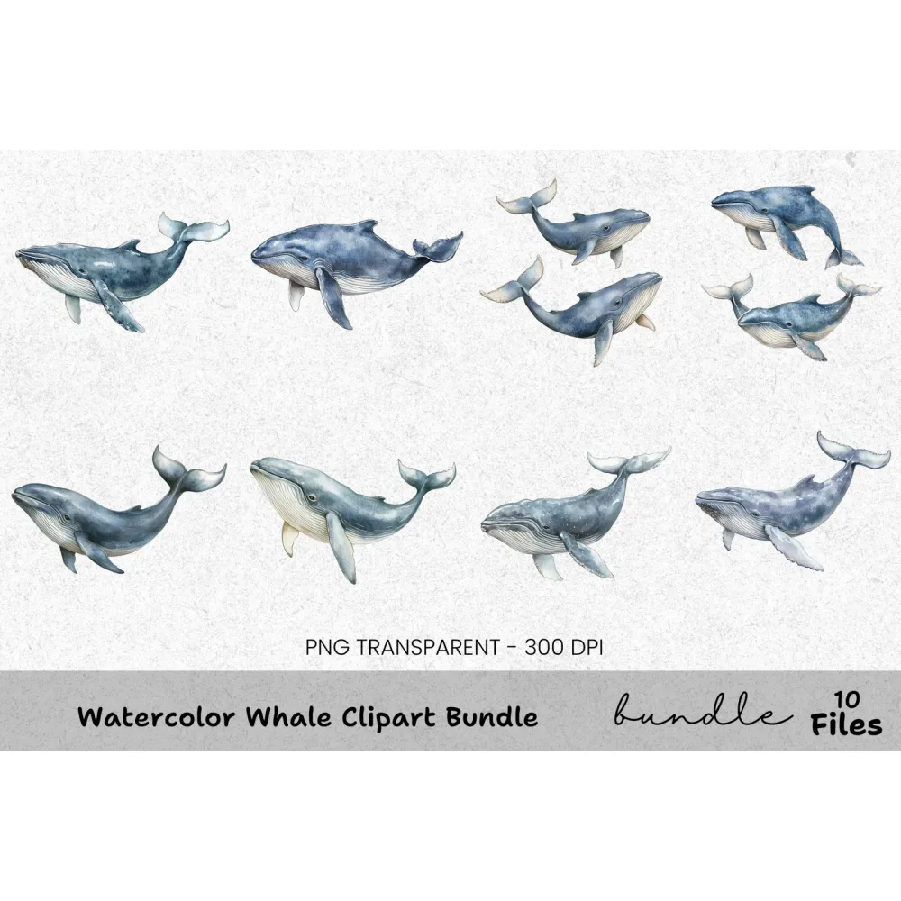Whale Clipart Bundle