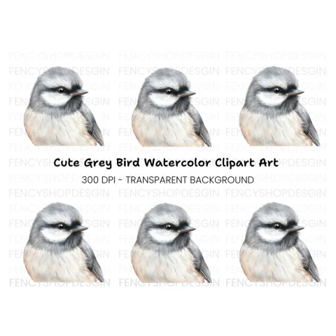 Detailed Bird Head Illustration Clipart Bundle