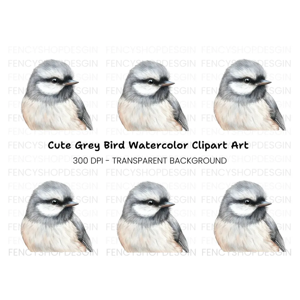Detailed Bird Head Illustration Clipart Bundle
