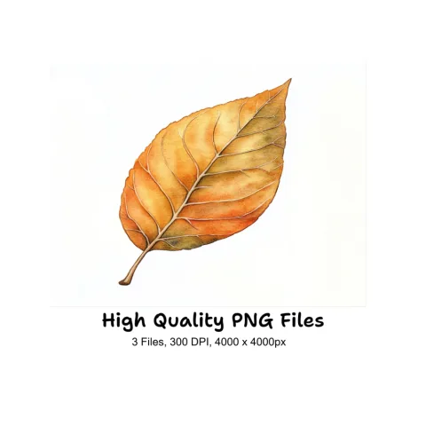 Autumn Leaves Clipart Bundle