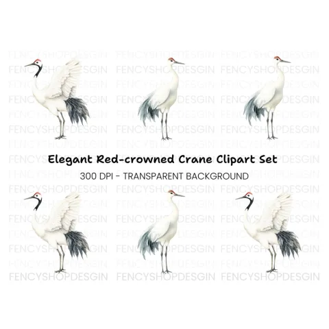 Elegant Japanese Crane Clipart Bundle