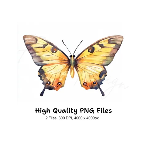 Colorful Butterfly Clipart Bundle