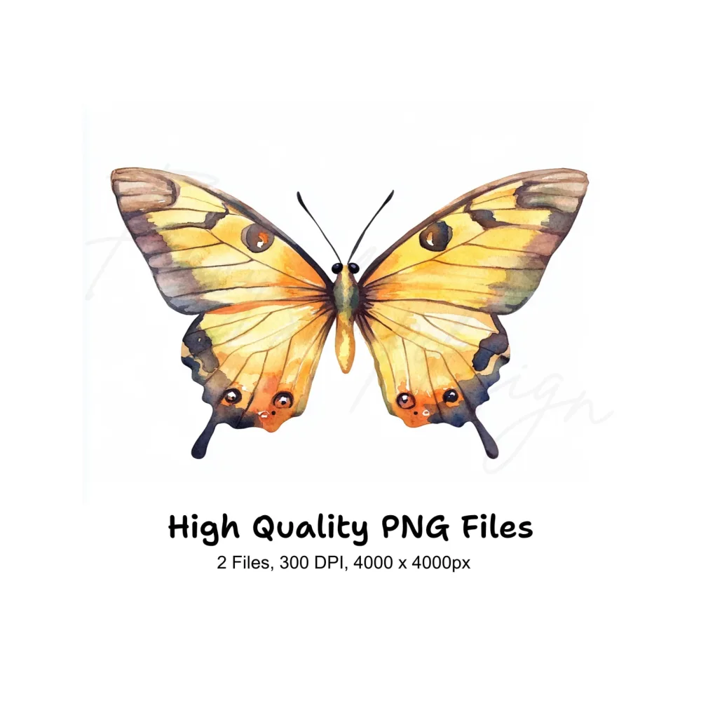 Colorful Butterfly Clipart Bundle