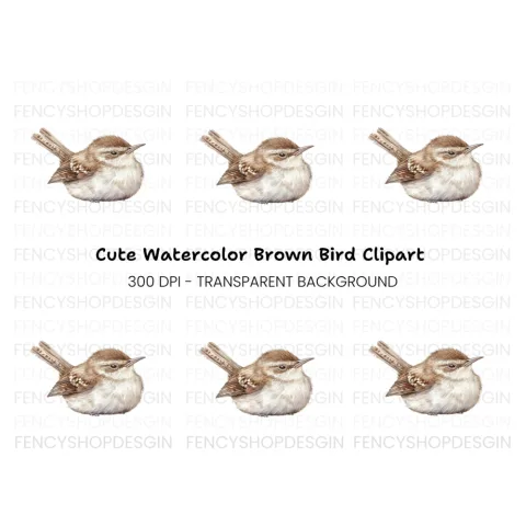 Cute Wren Bird Clipart Bundle