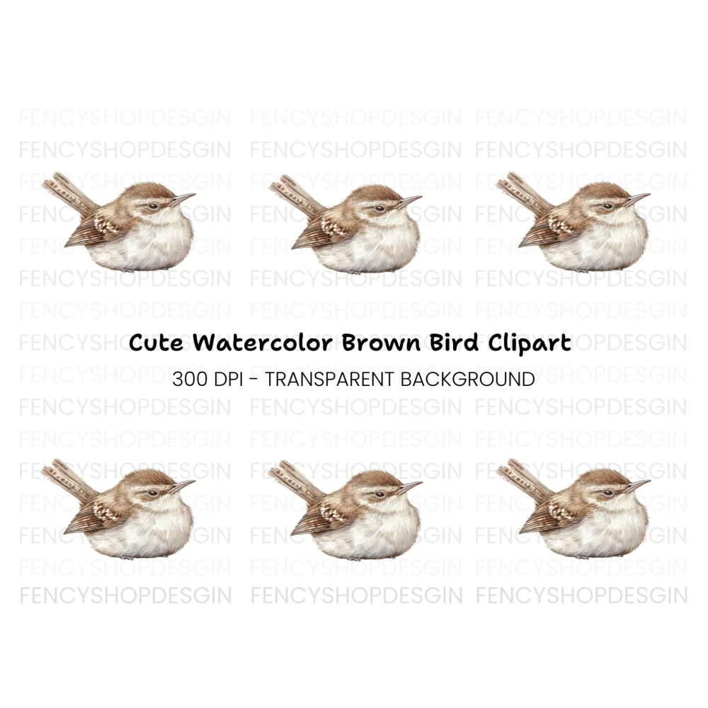 Cute Wren Bird Clipart Bundle