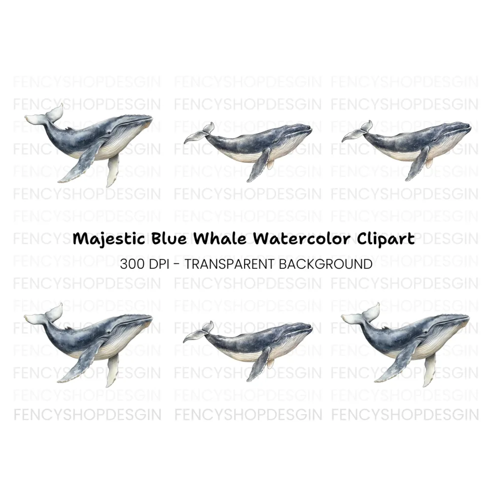Majestic Whale Duo Clipart Bundle