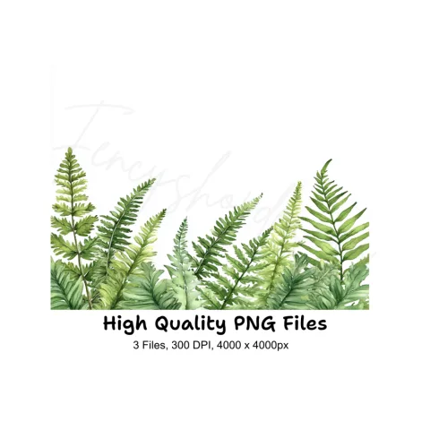 Fern Border Clipart Bundle