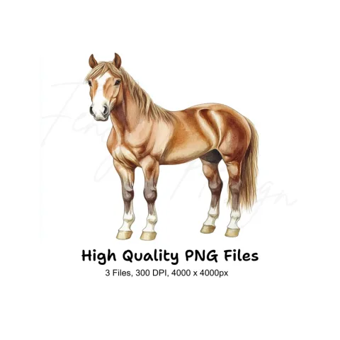 Majestic Horse Breeds Clipart Bundle