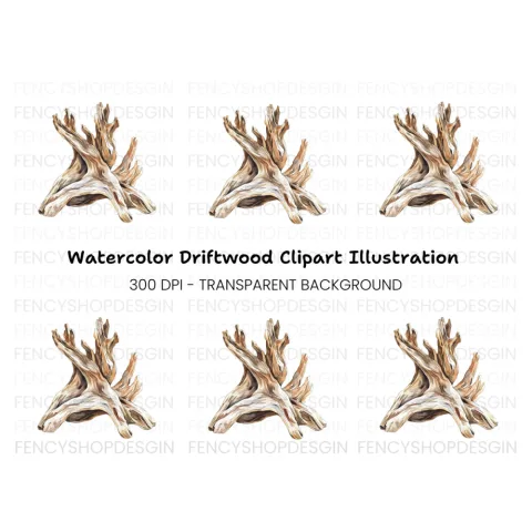 Driftwood Clipart Bundle