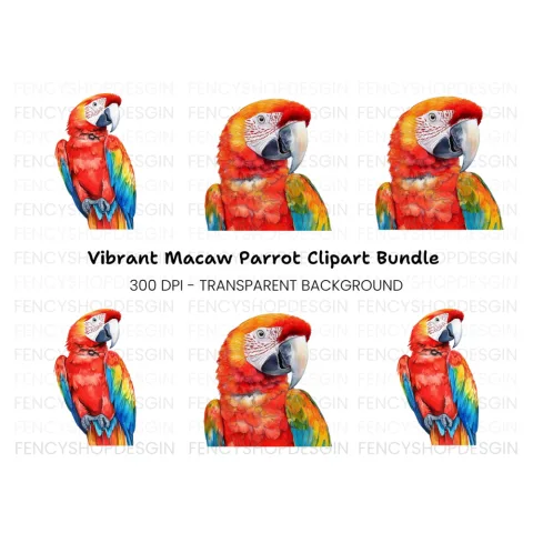 Vibrant Scarlet Macaw Parrot Clipart Bundle