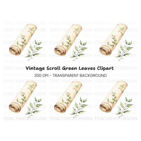 Floral Scroll Clipart Bundle