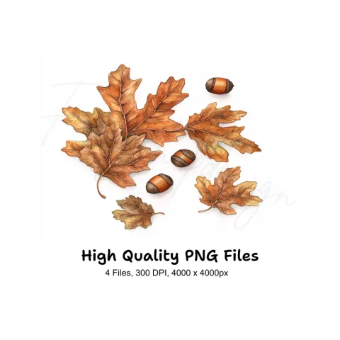 Autumn Oak Leaves and Acorns Clipart Bundle