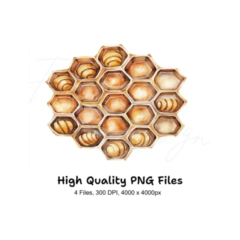 Honeycomb Clipart Bundle