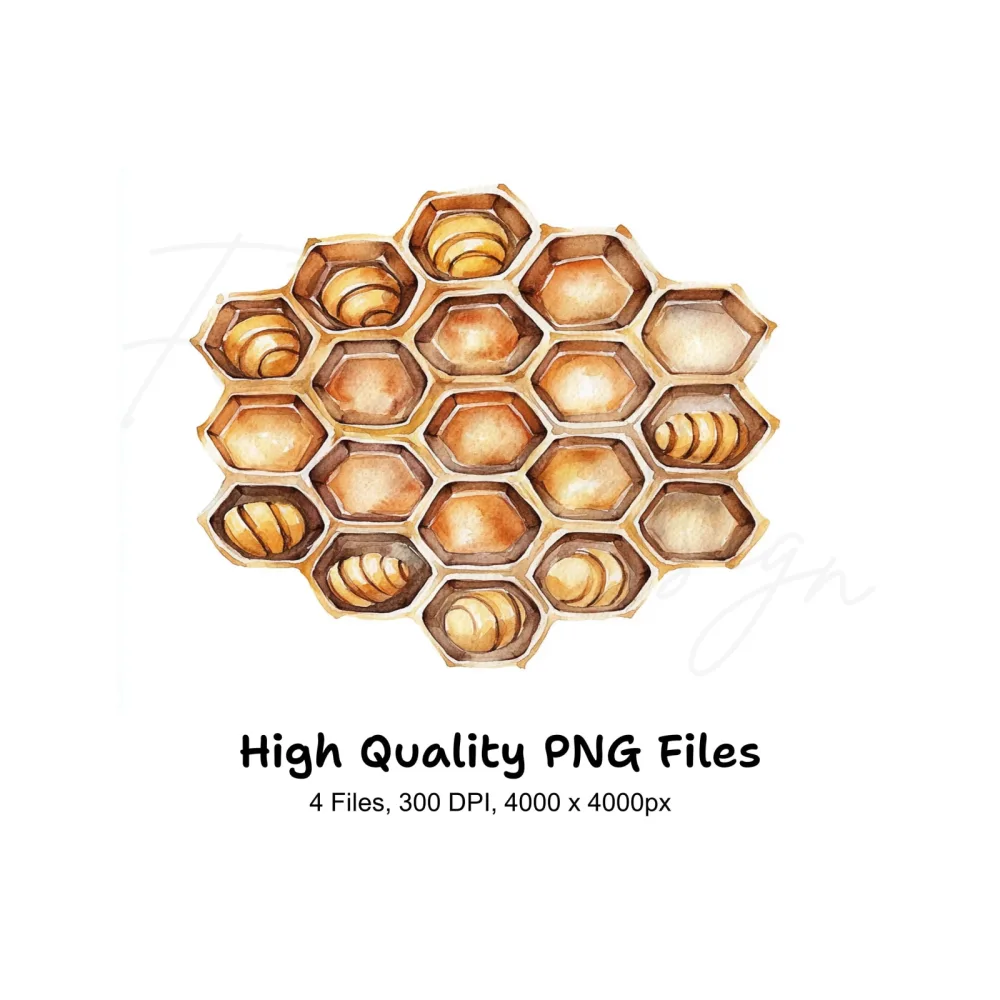 Honeycomb Clipart Bundle