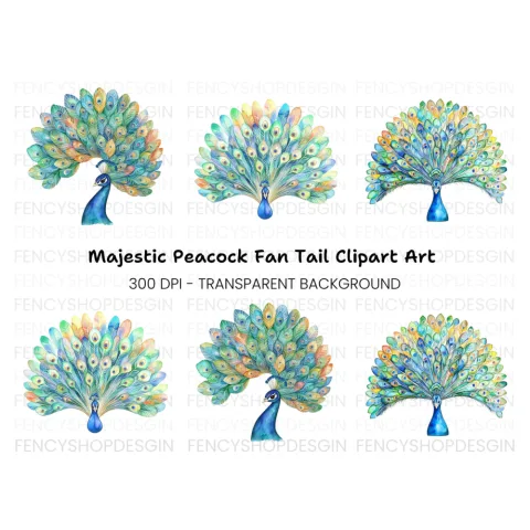 Vibrant Peacock Feather Fan Clipart Bundle