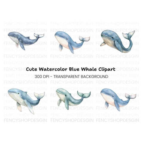 Blue Whale Clipart Bundle