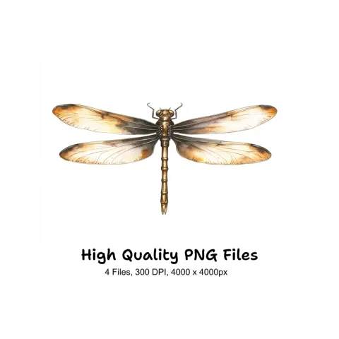 Elegant Dragonfly Clipart Bundle