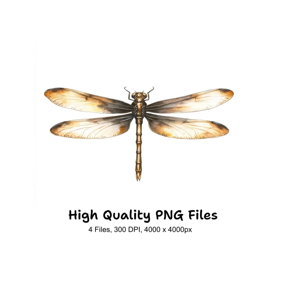 Elegant Dragonfly Clipart Bundle