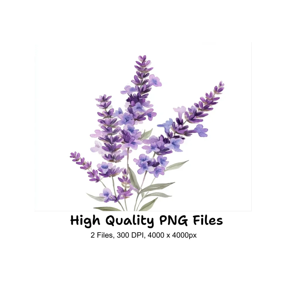Lavender Flower Clipart Bundle