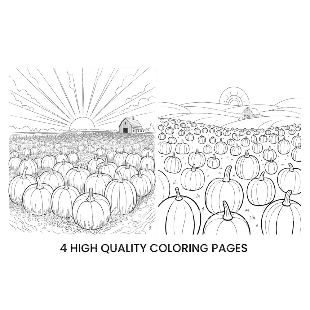 Sunrise Over Pumpkin Field Coloring Books