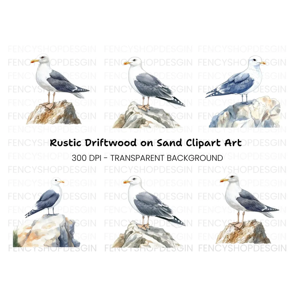 Three Seagulls on Rocks Clipart Bundle