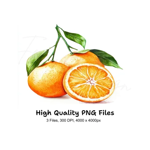 Fresh Orange Fruit Clipart Bundle
