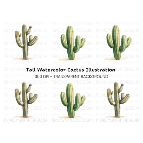 Desert Cactus Illustration Clipart Bundle