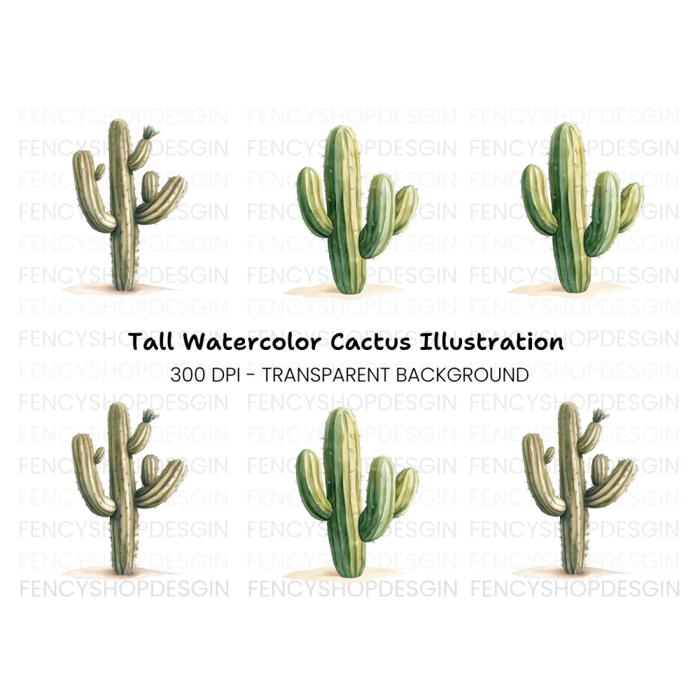Desert Cactus Illustration Clipart Bundle