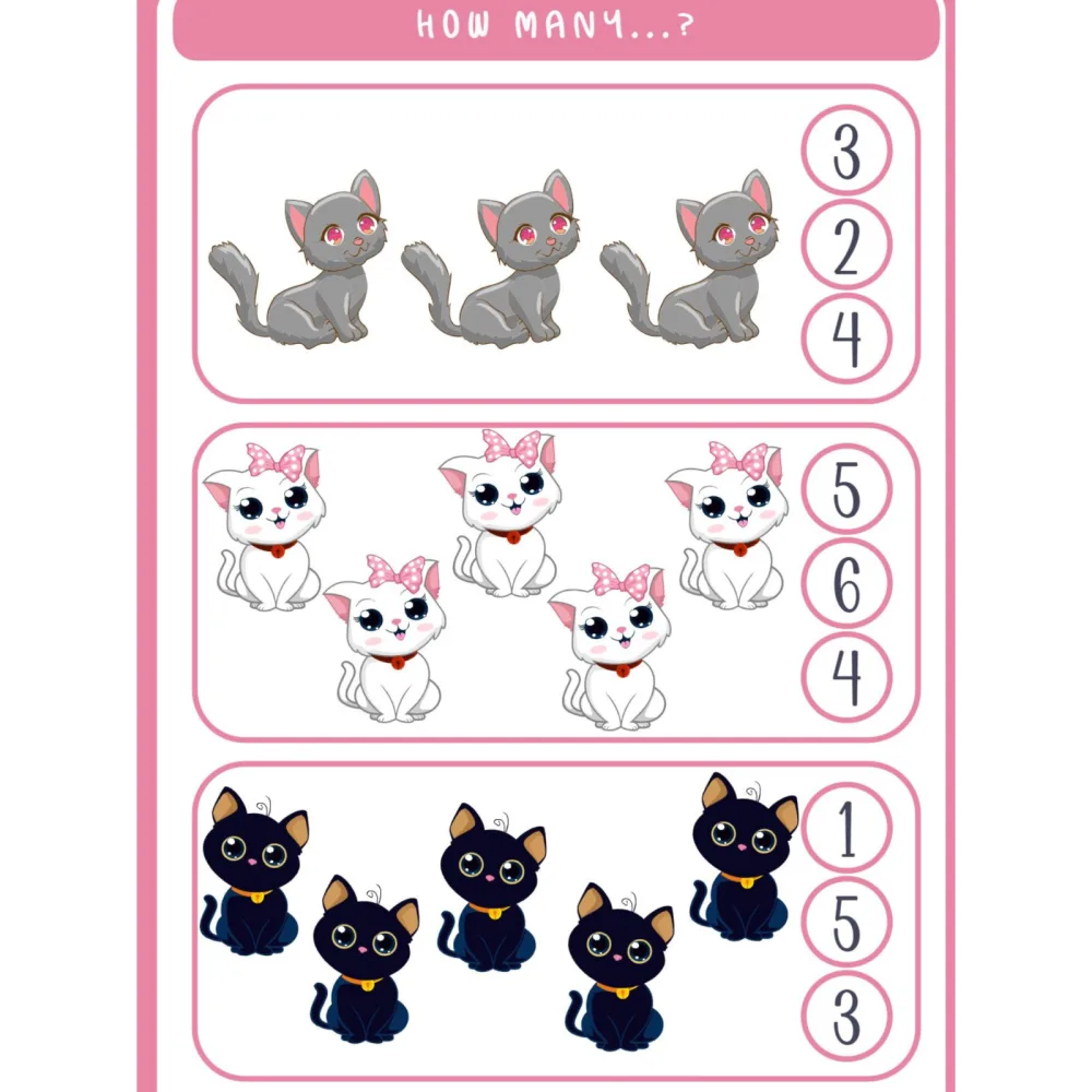 How Many Basic Counting Worksheet