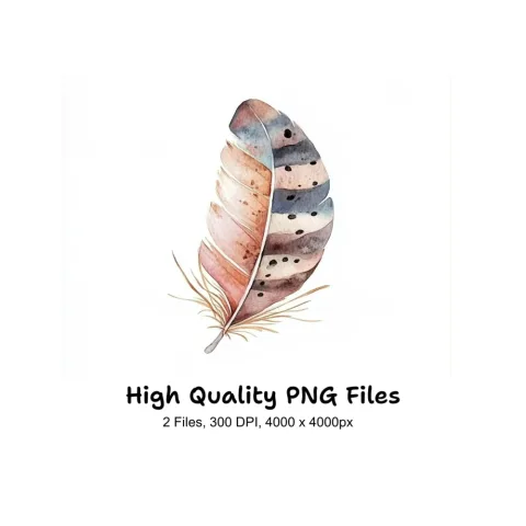 Boho Feather Clipart Bundle