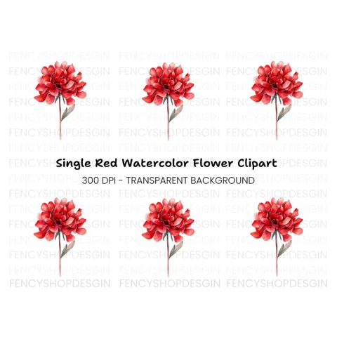 Stunning Red Peony Clipart Bundle