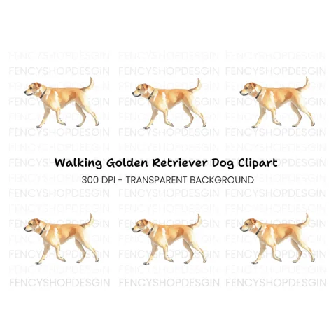 Golden Retriever Dog Clipart Bundle