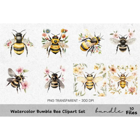 Bumble Bee Clipart Bundle