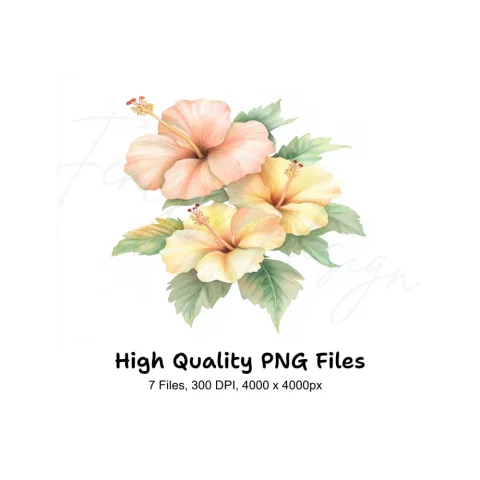 Elegant Hibiscus Flower Clipart Bundle
