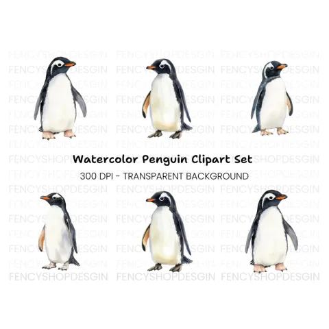 Gentoo Penguin Clipart Bundle