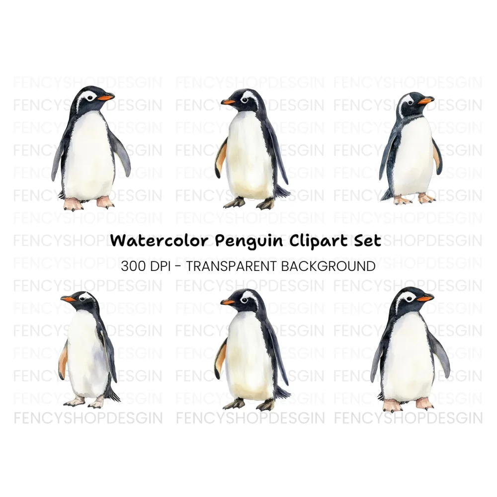 Gentoo Penguin Clipart Bundle