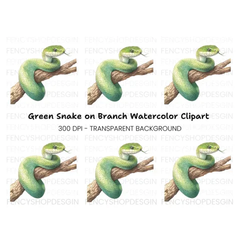 Green Snake on Branch Clipart Bundle