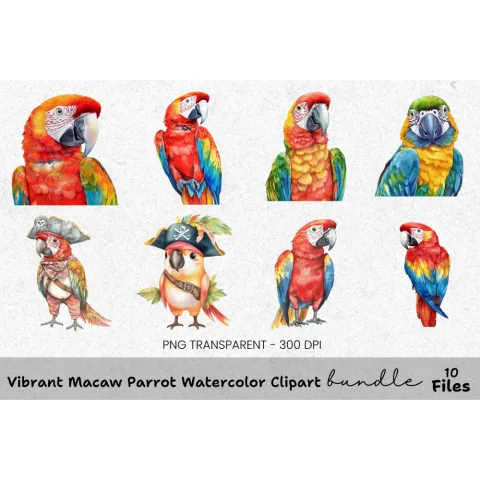 Vibrant Macaw Parrot Clipart Bundle