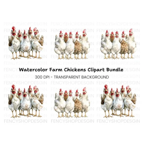 Chicken Clipart Bundle