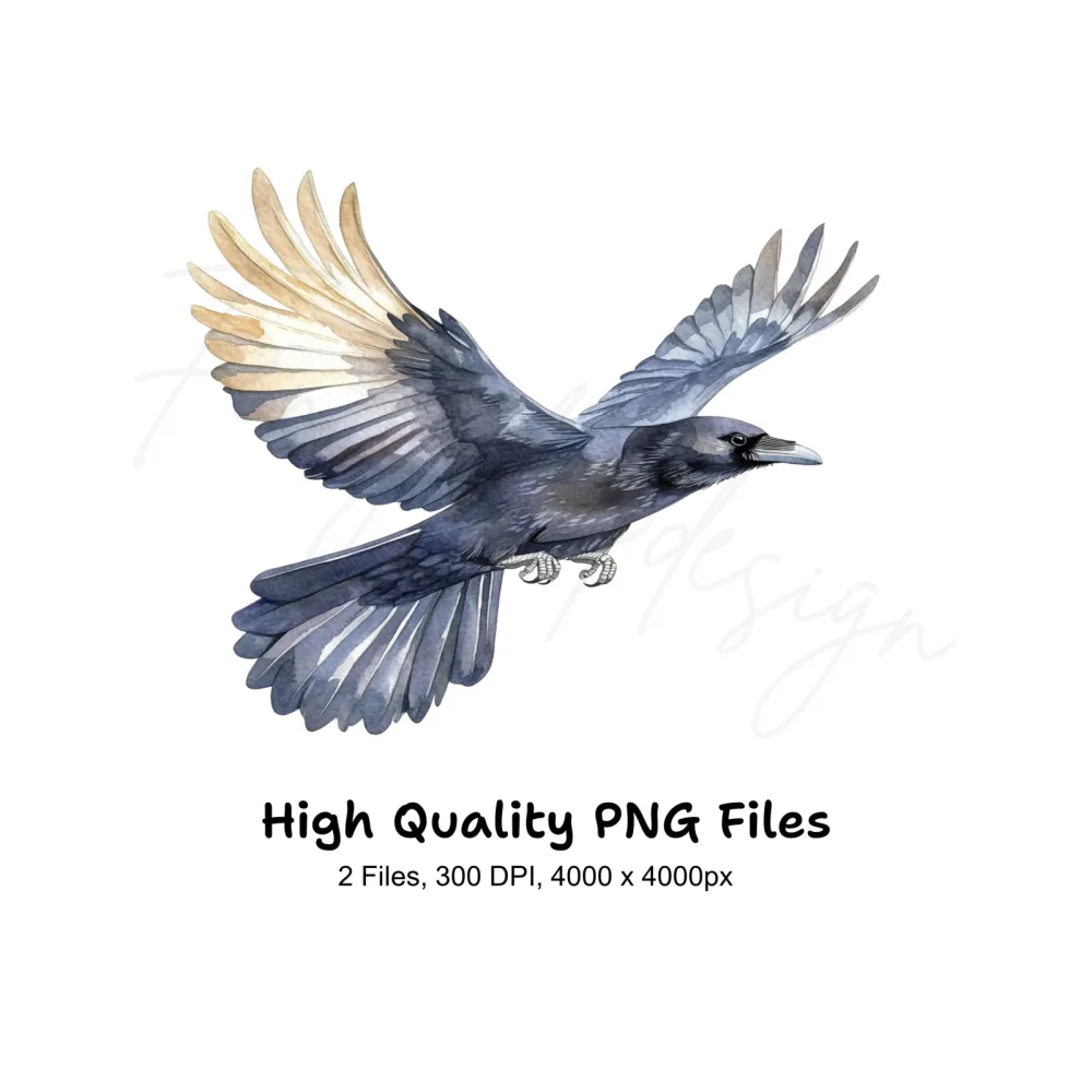 Flying Crows Clipart Bundle