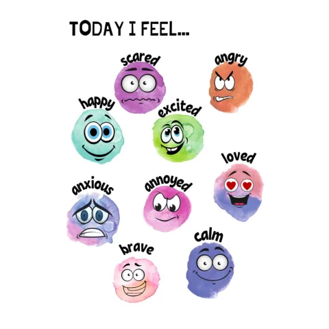 Today I Feel Emotion Flashcards
