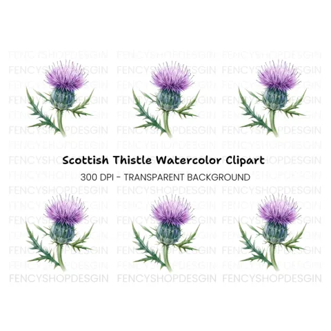Scottish Thistle Flower Clipart Bundle