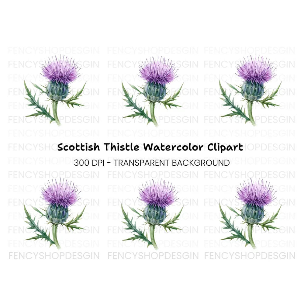 Scottish Thistle Flower Clipart Bundle