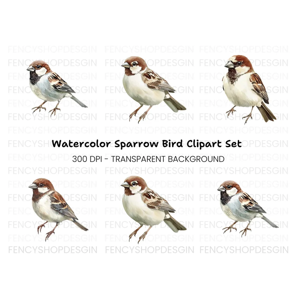 Realistic Sparrow Bird Clipart Bundle