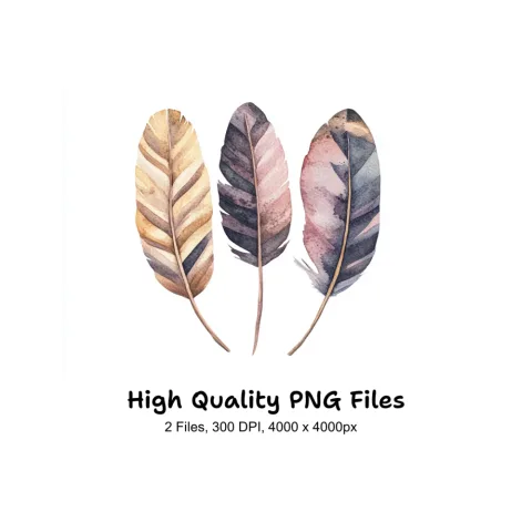 Natural Feather Clipart Bundle
