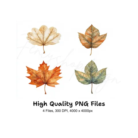 Autumn Leaves Clipart Bundle