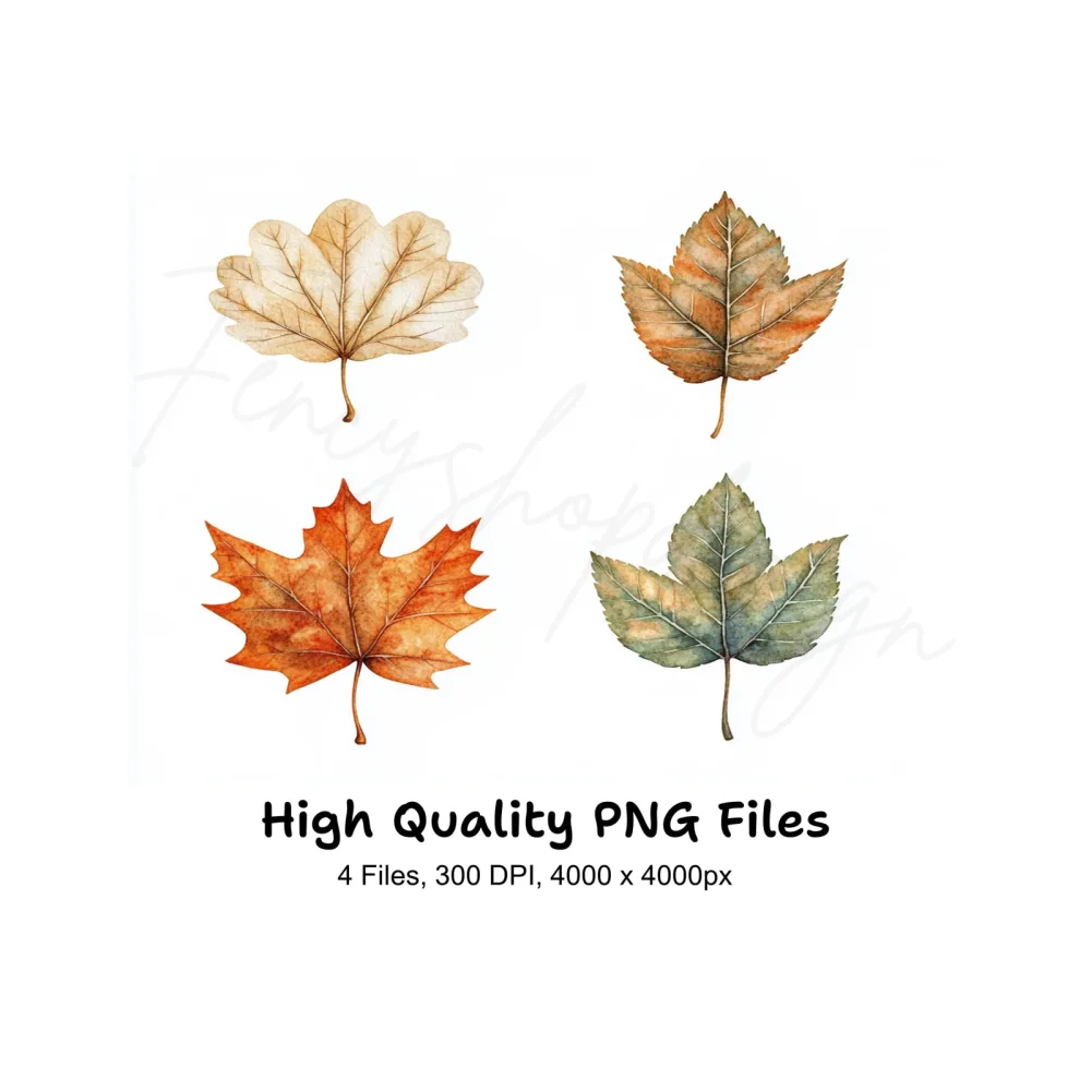 Autumn Leaves Clipart Bundle
