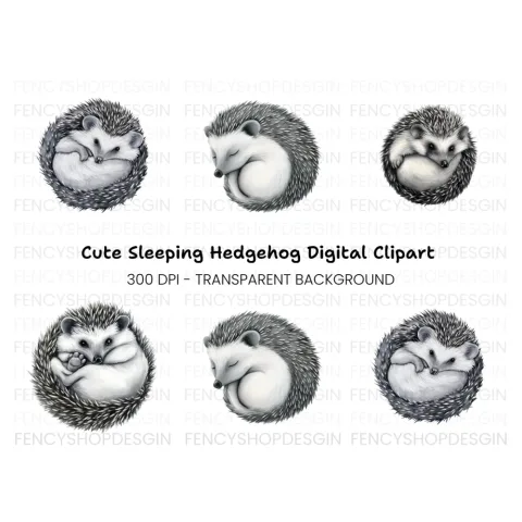 Cute Hedgehog Clipart Bundle